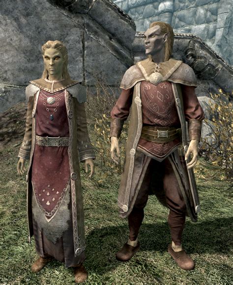 altmer skyrim|More.